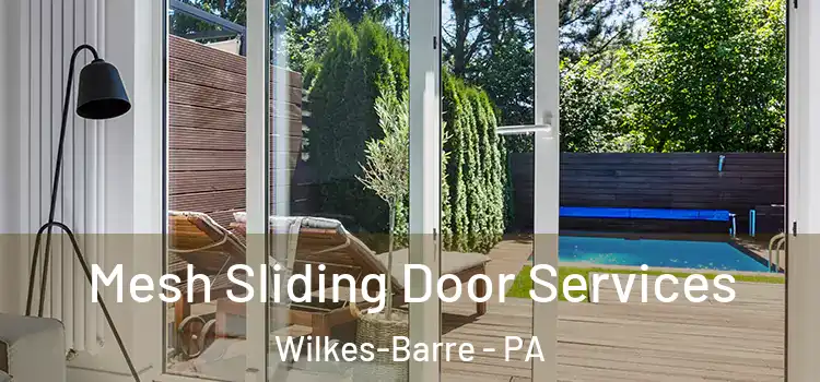 Mesh Sliding Door Services Wilkes-Barre - PA
